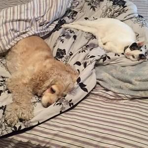 Meet your Posher, Gabrielle